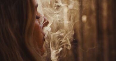 CBD produkter